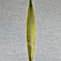 Slashed By Charlotte Kingsworth