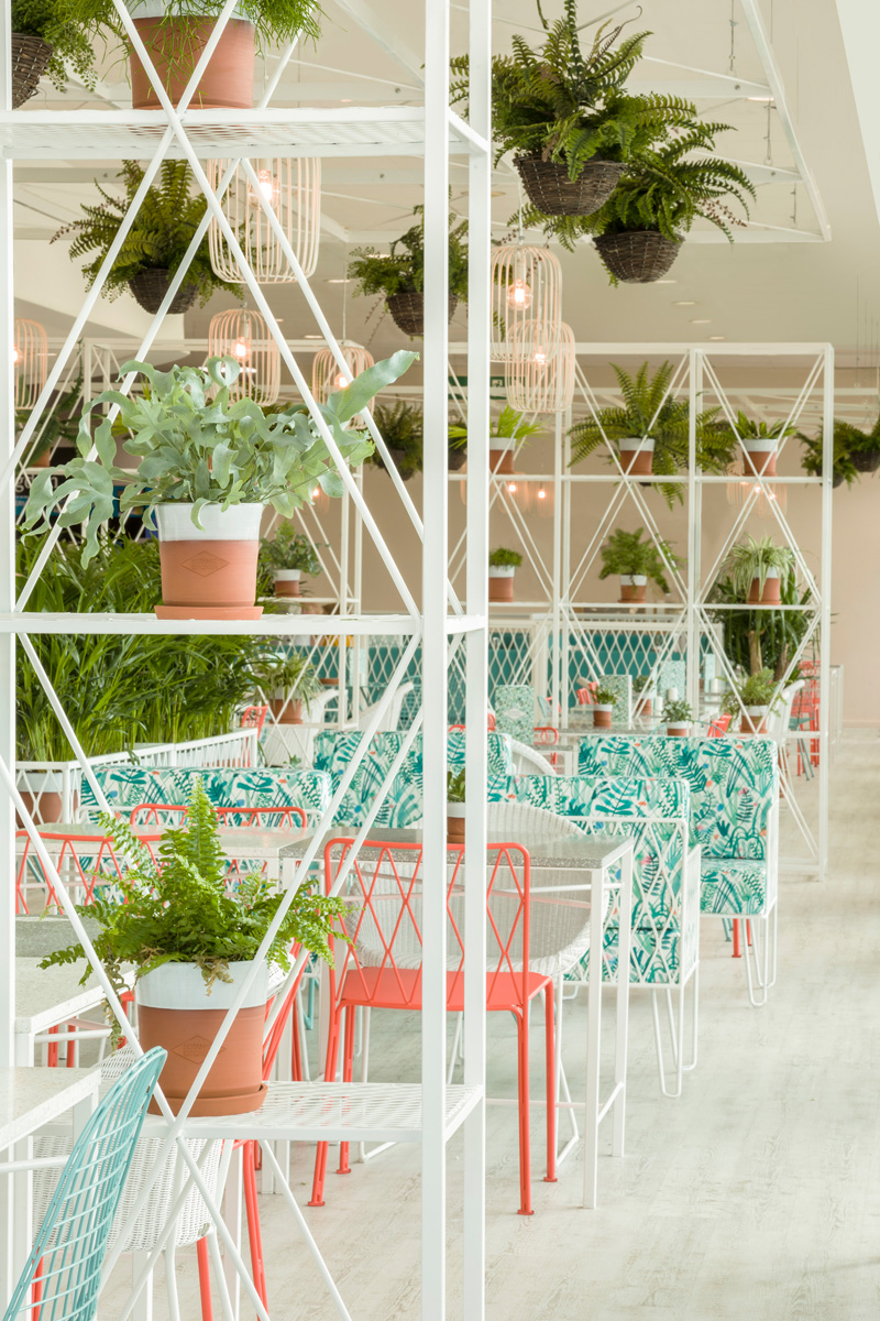 Botanic Kitchen By Kiwi & Pom