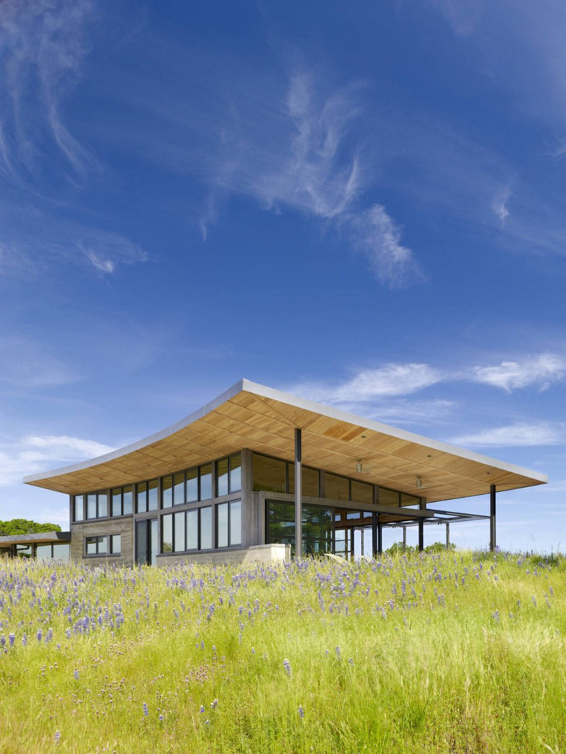 The Caterpillar House By Feldman Architecture