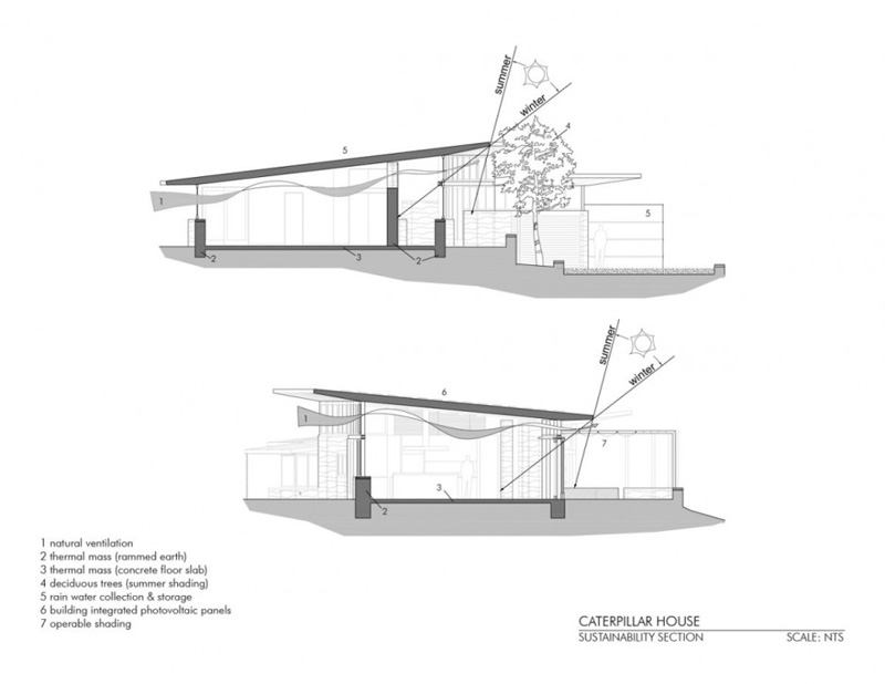 The Caterpillar House By Feldman Architecture