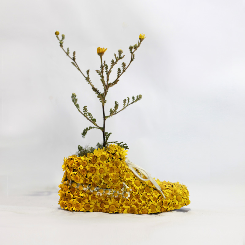 Just Grow It By Christophe Guinet - Monsieur Plant