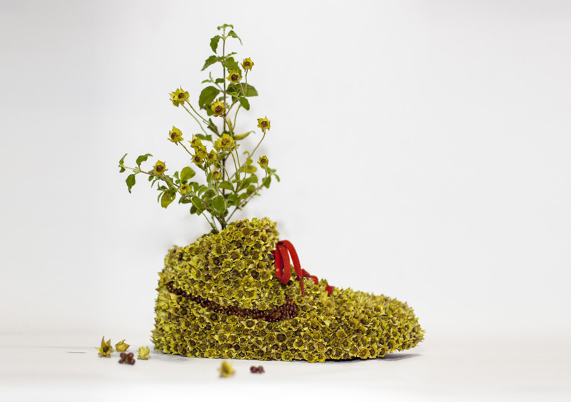 Just Grow It By Christophe Guinet - Monsieur Plant