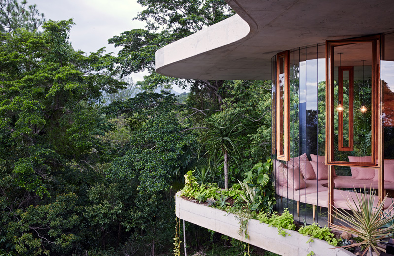 Planchonella House By Jesse Bennett & Anne-Marie Campagnolo