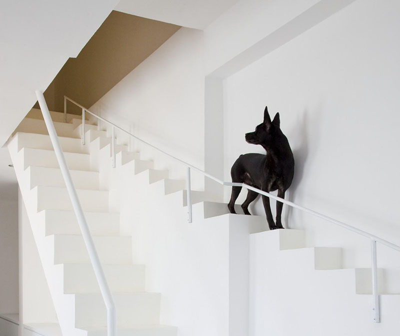 This Home Has Separate Small Stairs For Small Dogs