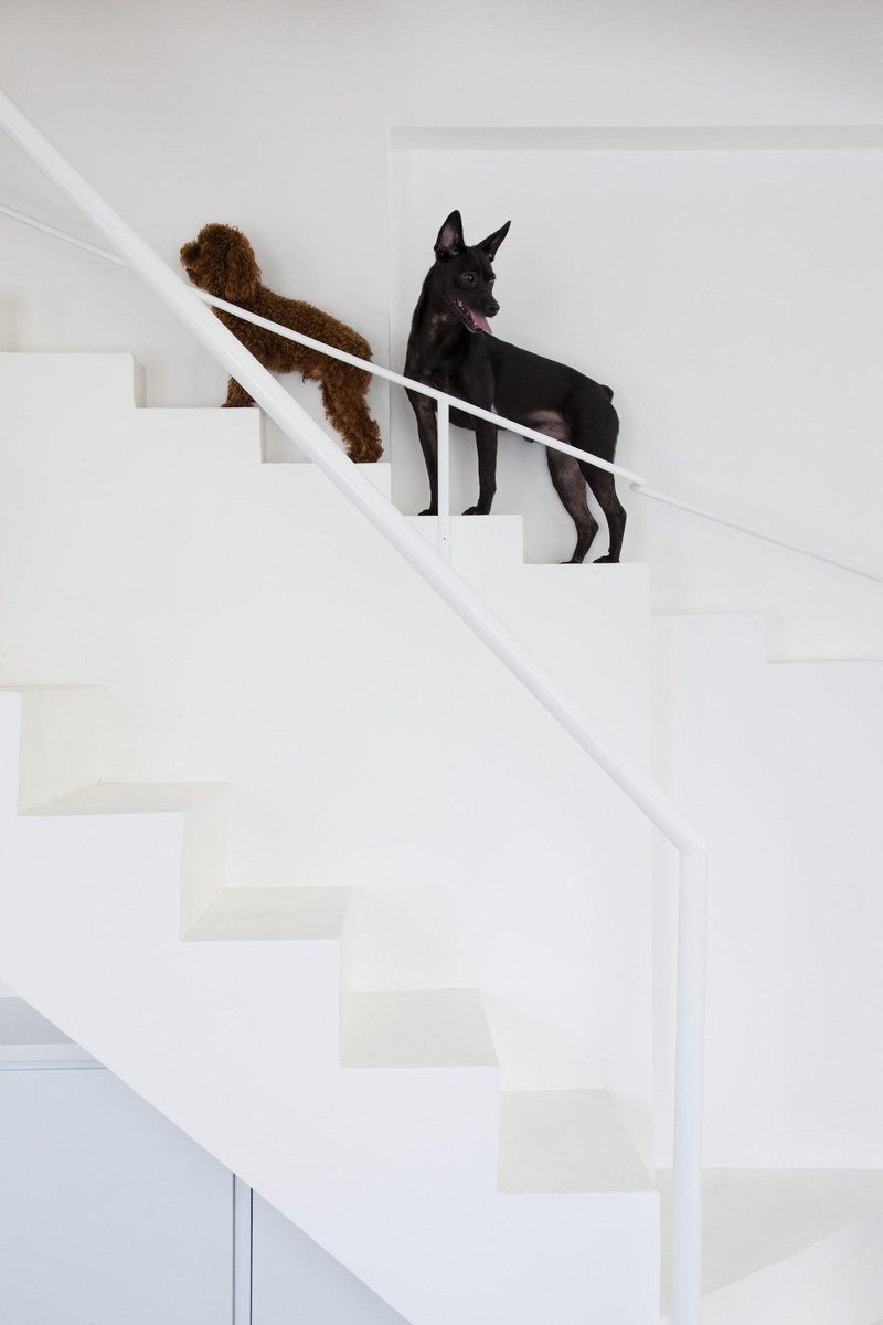 This Home Has Separate Small Stairs For Small Dogs