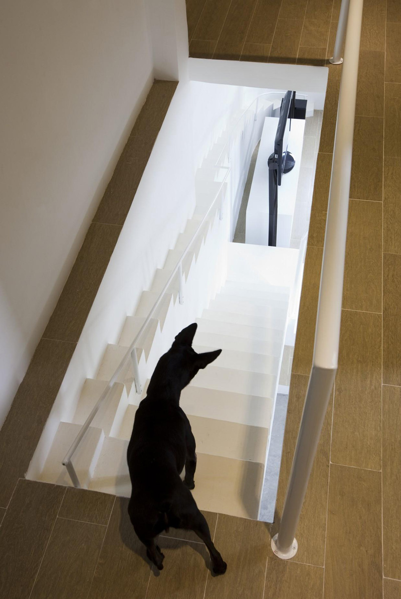 This Home Has Separate Small Stairs For Small Dogs