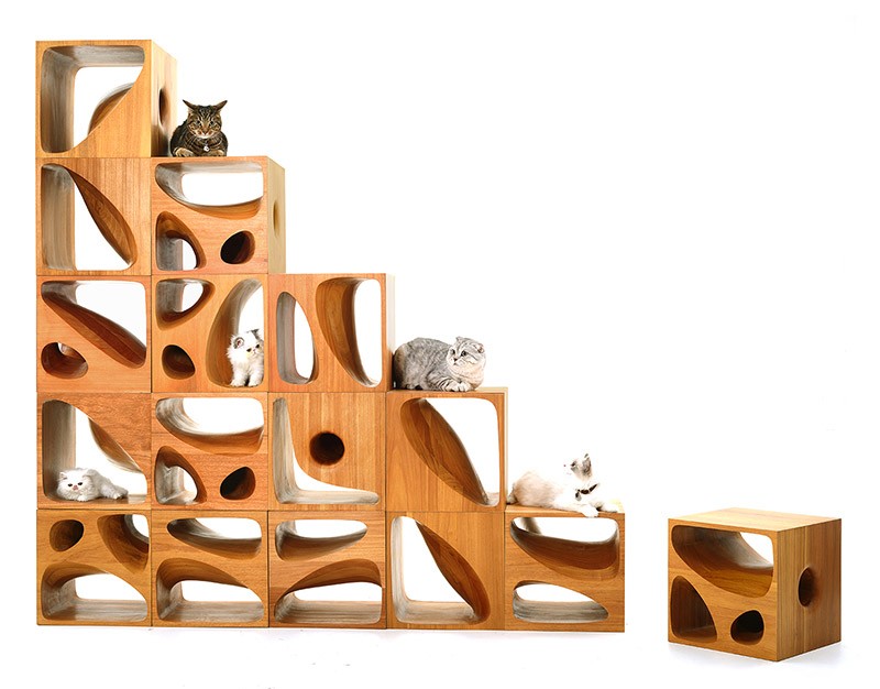 Sculptural Wood Cubes Designed For Playful Cats