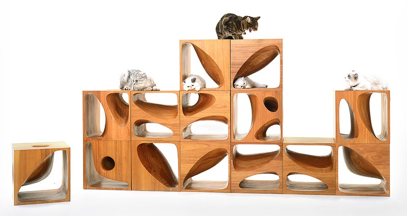 Sculptural Wood Cubes Designed For Playful Cats