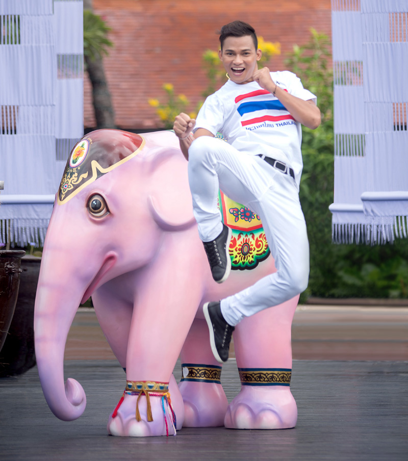 A Herd Of Decorated Elephants Will Take Over Bangkok In December