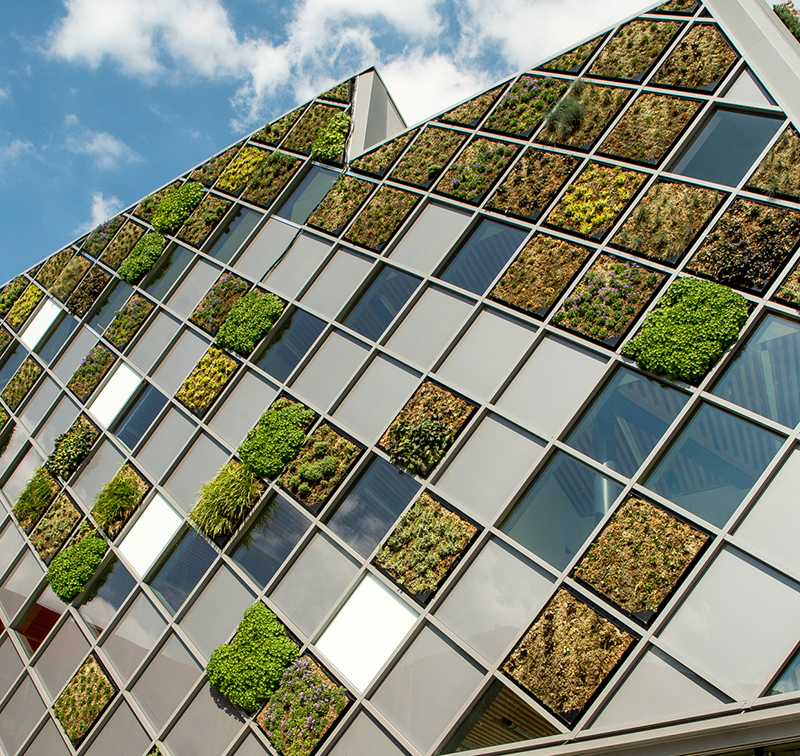 This City Hall In Belgium Is Covered In A Patchwork of Green