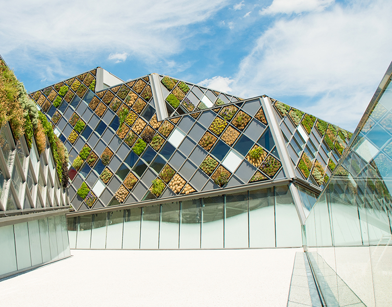 This City Hall In Belgium Is Covered In A Patchwork of Green