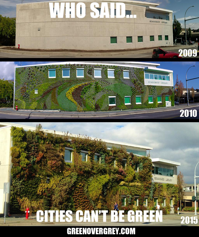 The Evolution Of A Green Wall