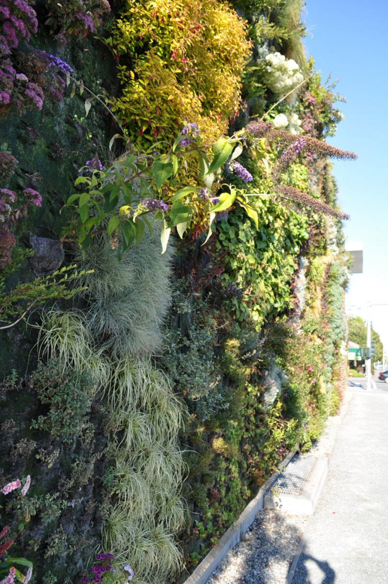 The Evolution Of A Green Wall