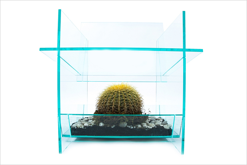 Cactus Chair by THISLEXIK