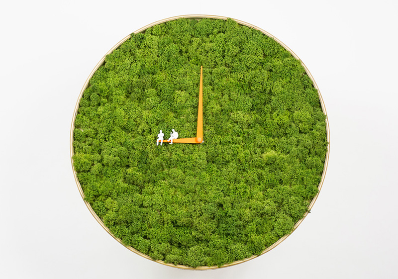 Moss Clock by Noktuku