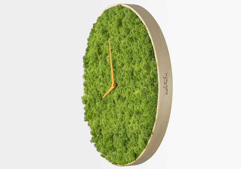 Moss Clock by Noktuku