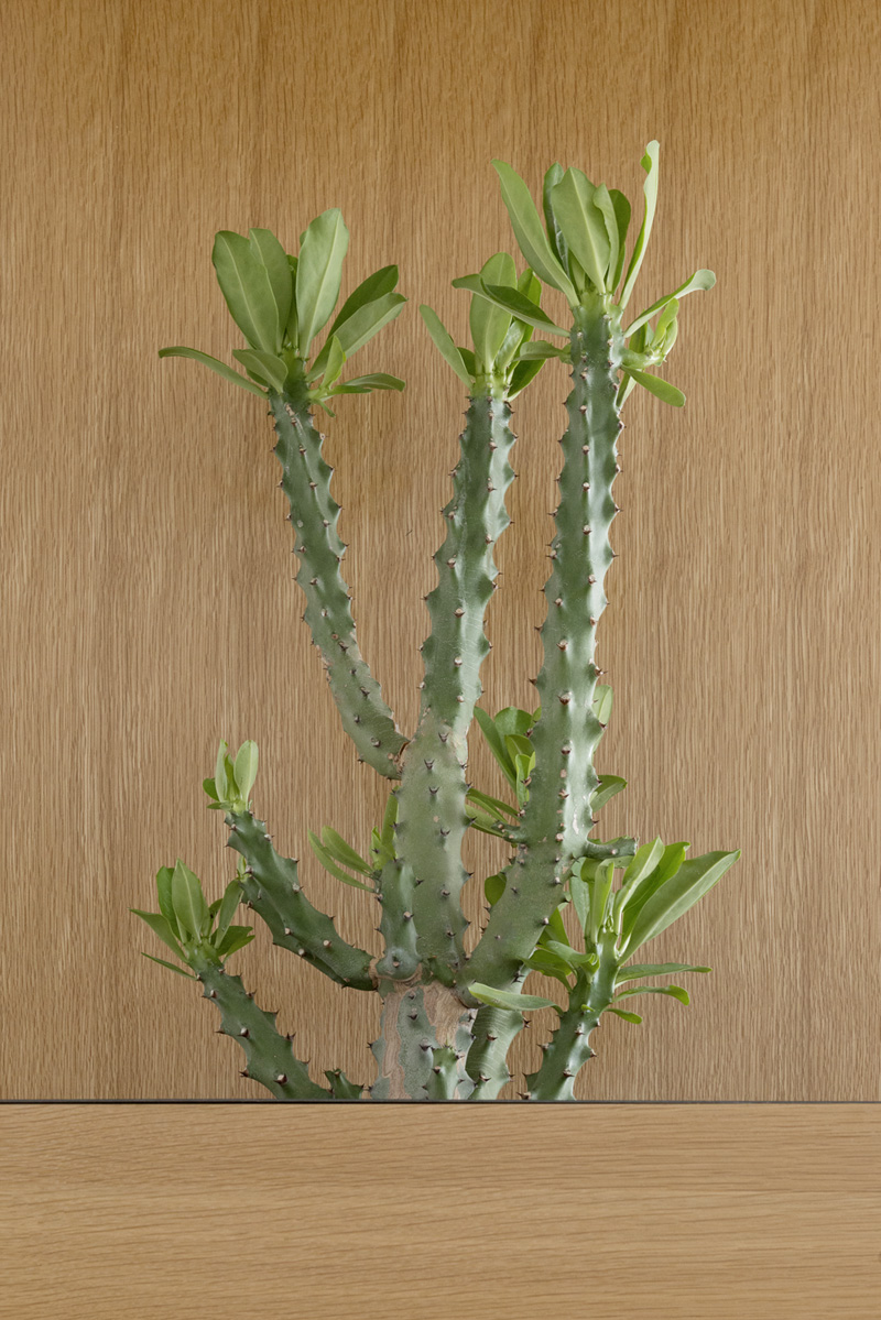 Pockets Of Plants Have Been Added To This White Wall Of Cabinets