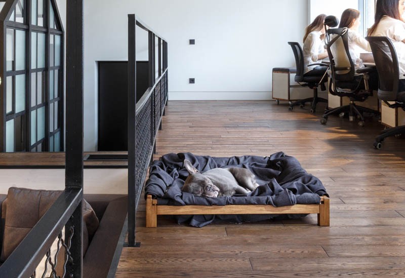 Contemporary office interior design