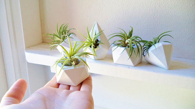 These small mini planters by Redwood Stoneworks are great for displaying a collection of air plants. #Planters #SmallPlanters #Plants #Decor #HomeDecor #GiftIdea