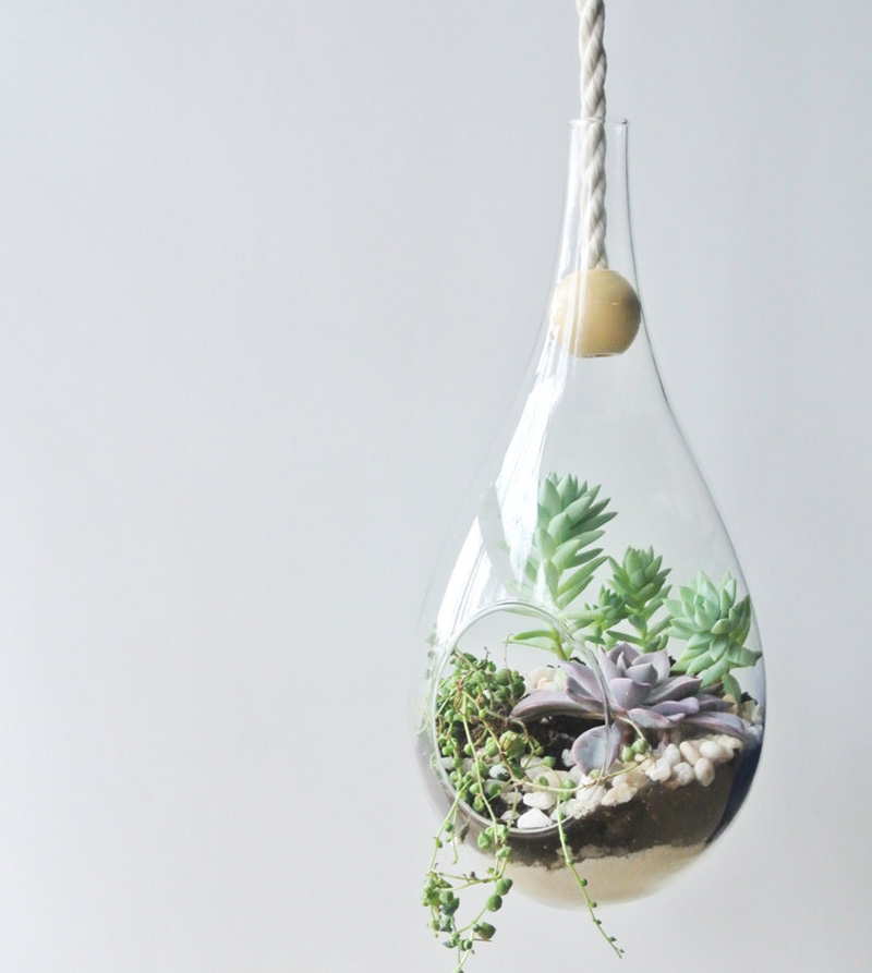 A modern glass dewdrop hanging planter by theZenSucculent. #Planters #SmallPlanters #Plants #Decor #HomeDecor #GiftIdea #HangingPlanter