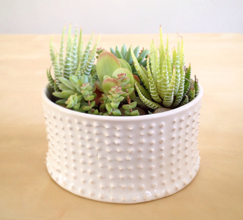 A handmade spiked terrarium in white by aveshamichael. #Planters #SmallPlanters #Plants #Decor #HomeDecor #GiftIdea