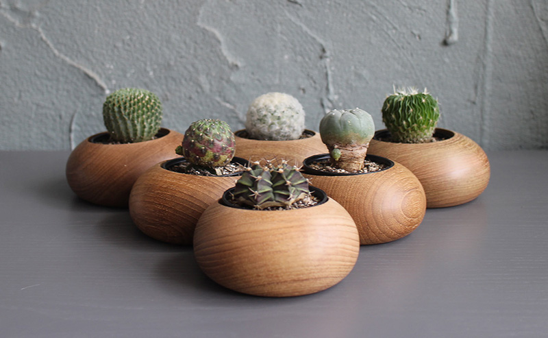 These smooth wood planters by WoodenBorough are inspired by pebbles and made from teak.  #Planters #SmallPlanters #Plants #Decor #HomeDecor #GiftIdea