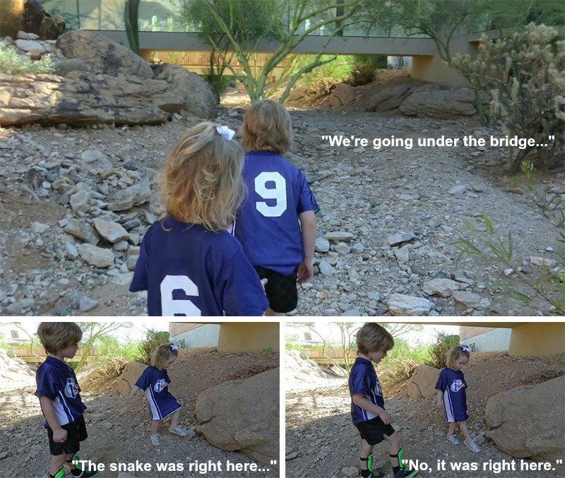 Two Cute Kids Share Their Experience Of Living In A Modern House In The Arizona Desert