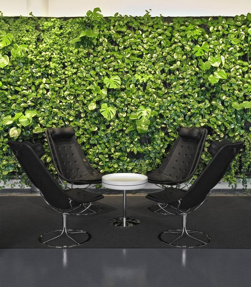 8 Benefits of Green Walls