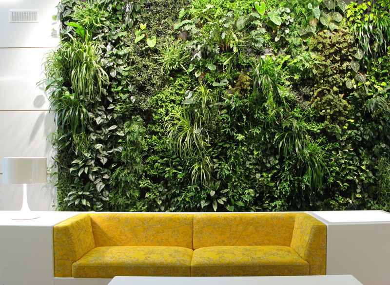 8 Benefits of Green Walls