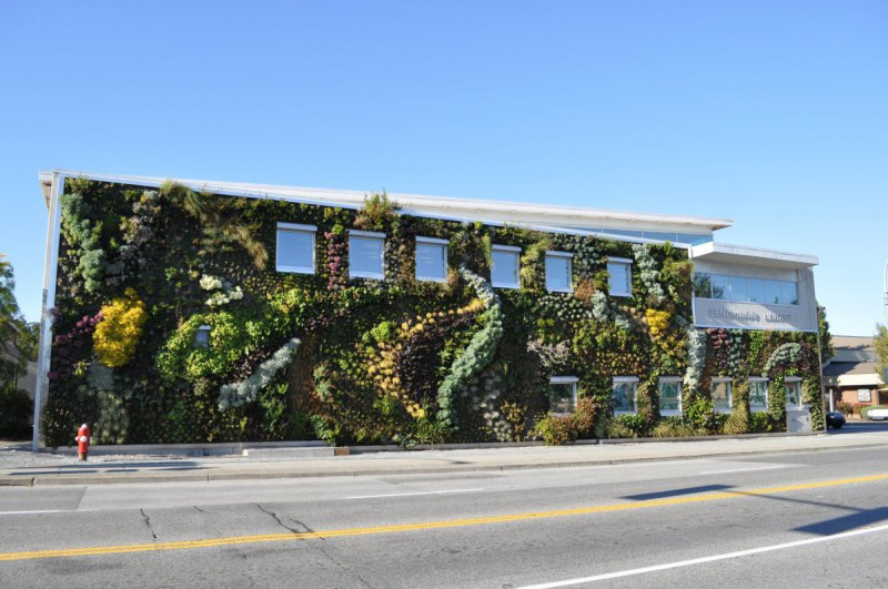 8 Benefits of Green Walls