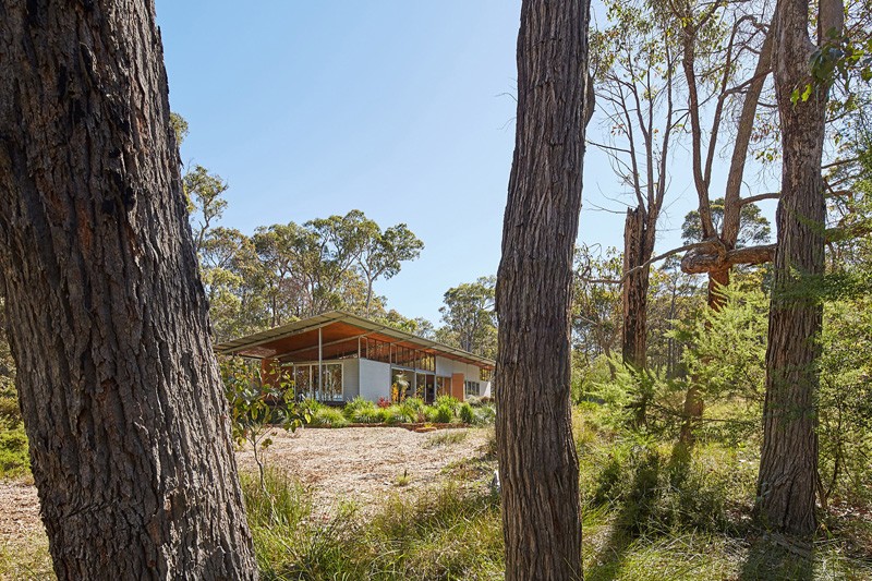 Bush House by Archterra Architects