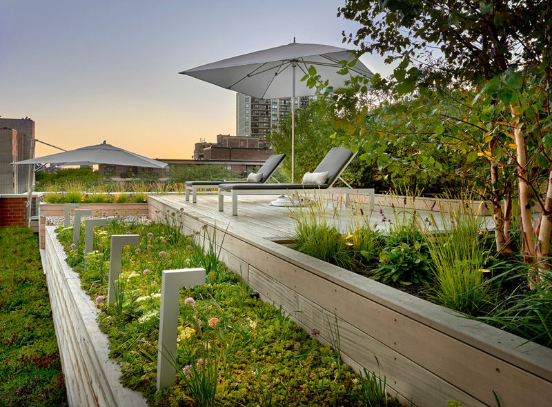 7 Design Lessons To Learn From This Awesome Roof Deck In Chicago // Play with heights -- By designing the space with different levels, it adds visual interest and allows for garden beds to be included.