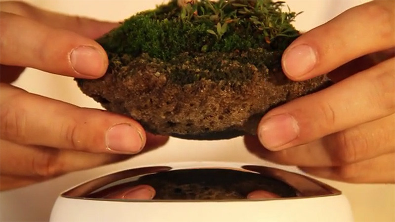 The 'Air Bonsai' makes it possible for your plant to float in mid-air