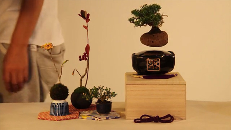 The 'Air Bonsai' makes it possible for your plant to float in mid-air