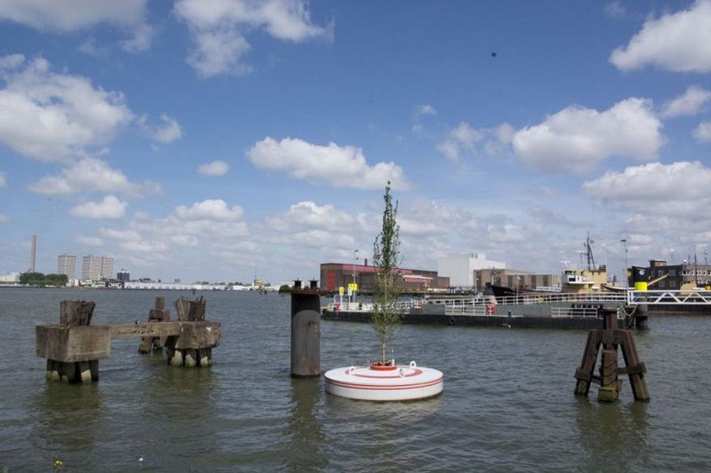 The city of Rotterdam will be getting a floating forest this Spring