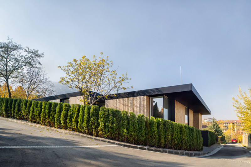 Pagoda House by I/O Architects