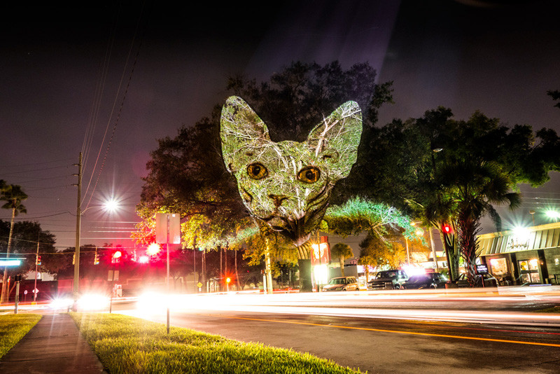 Street Artist Julien Nonnon's 'Safari Urbain' Takes Over Orlando