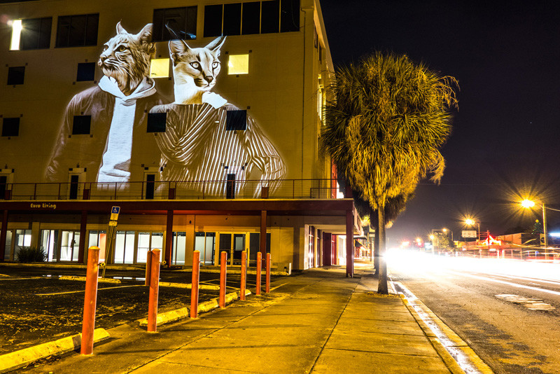 Street Artist Julien Nonnon's 'Safari Urbain' Takes Over Orlando