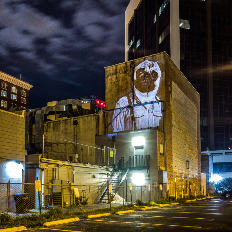 Street Artist Julien Nonnon's 'Safari Urbain' Takes Over Orlando