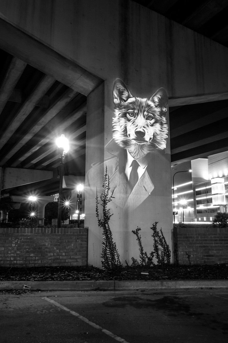 Street Artist Julien Nonnon's 'Safari Urbain' Takes Over Orlando