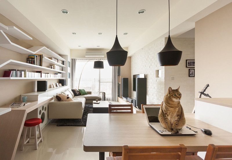 Custom Shelving In This Home Keeps The Cat Happy