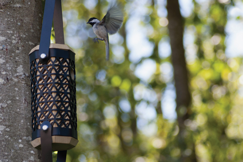 The design of this birdhouse helps Chickadees survive the winter