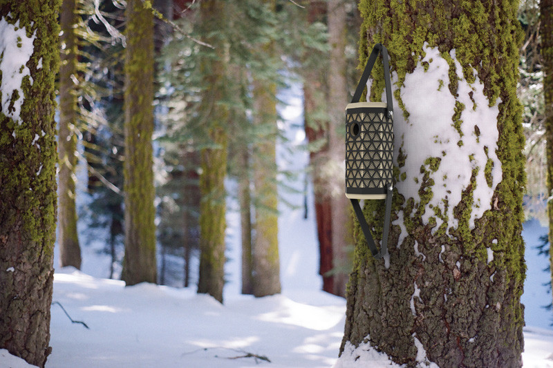The design of this birdhouse helps Chickadees survive the winter