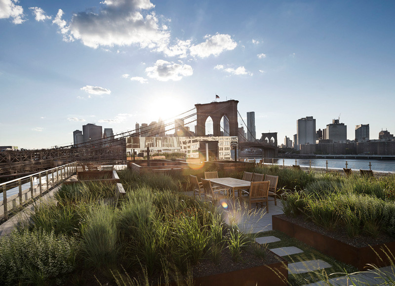 This rooftop garden in New York is like a meadow in the sky