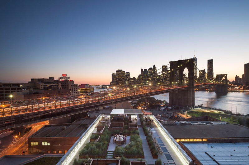 This rooftop garden in New York is like a meadow in the sky