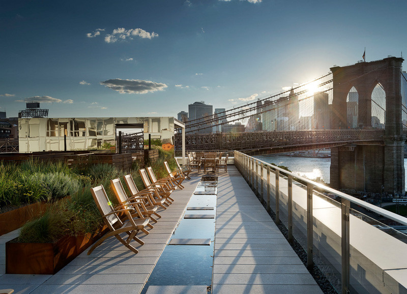 This rooftop garden in New York is like a meadow in the sky