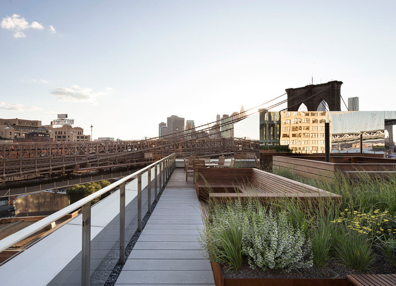 This rooftop garden in New York is like a meadow in the sky