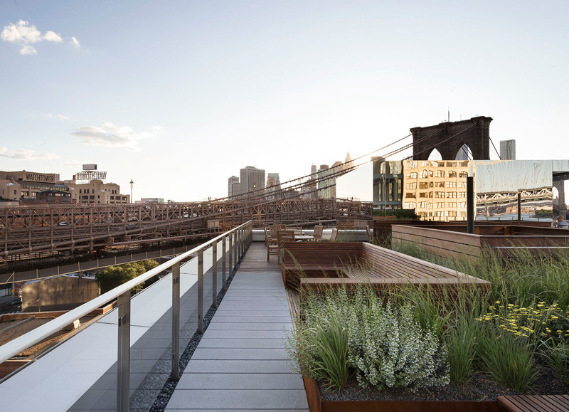 This rooftop garden in New York is like a meadow in the sky