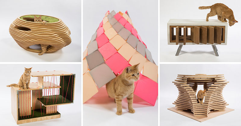 12 Los Angeles Architecture Firms Have Designed Cat Shelters For Charity