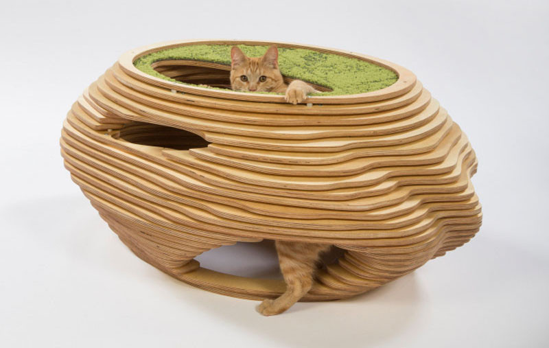 12 Los Angeles Architecture Firms Have Designed Cat Shelters For Charity